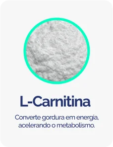 L-CARTININA.png